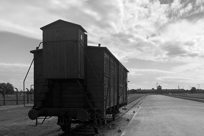 Auschwitz-Birkenau Guided Tour From Krakow - Private Car - Booking and Availability