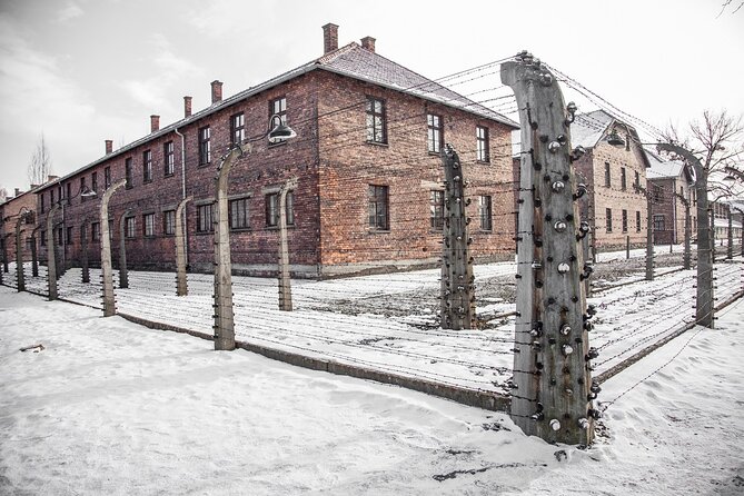 Auschwitz-Birkenau Memorial and Museum Guided Tour From Krakow - Guided Tour Highlights