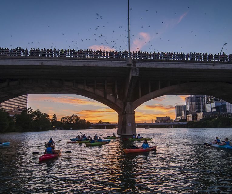 Austin: Congress Avenue Sunset Bat Kayaking Tour - Booking and Cancellation