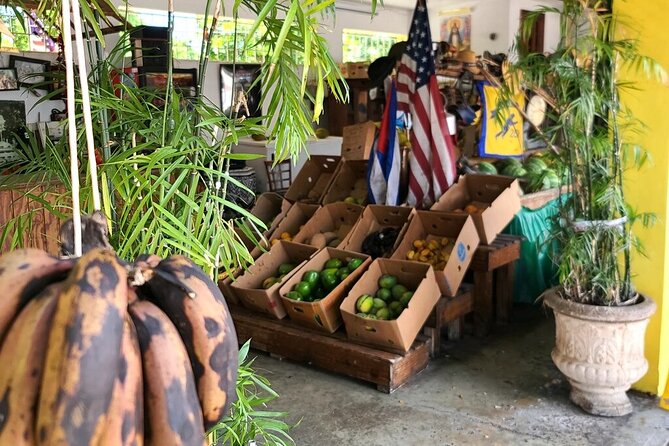 Authentic Little Havana Food and Culture Walking Tour - Guide and Experience