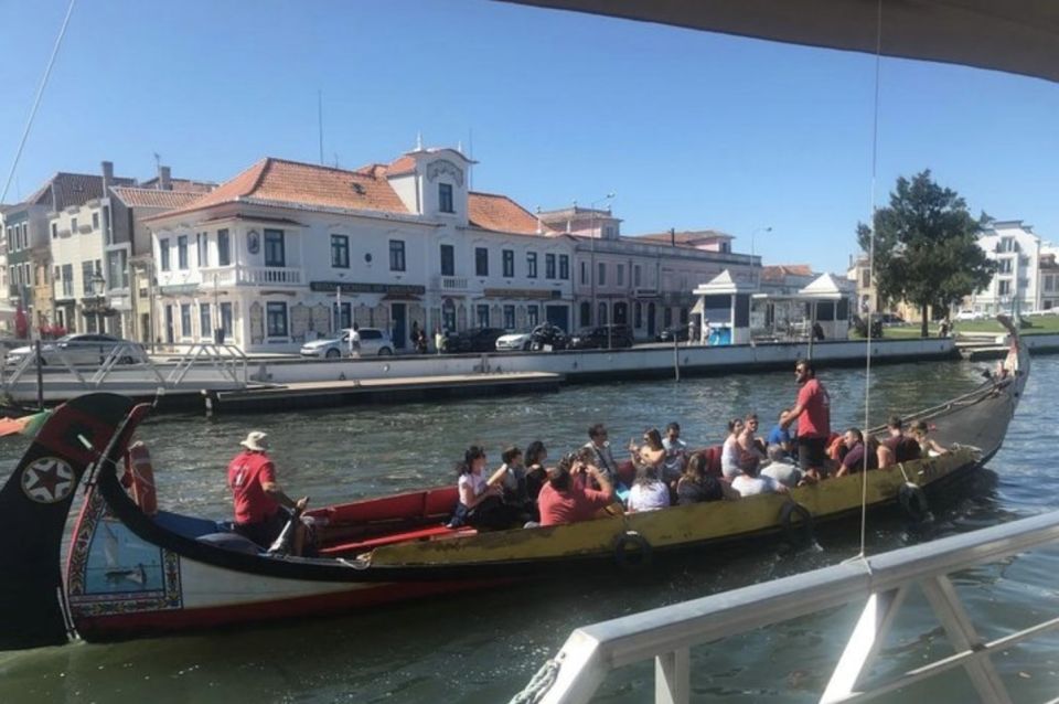 Aveiro and Coimbra Private Tour - Coimbra Cathedral