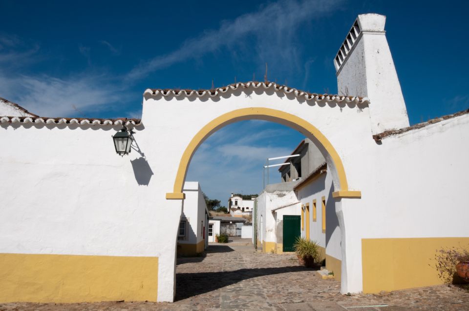 Azeitão and Alentejo Wine and Food Tour From Lisbon - Lunch in an Antique Mansion