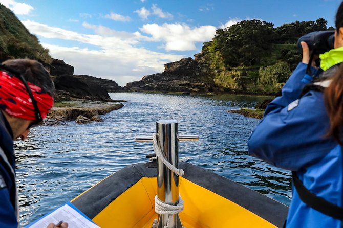 Azores Marine Birdwatching Expedition - Meeting Point and Logistics