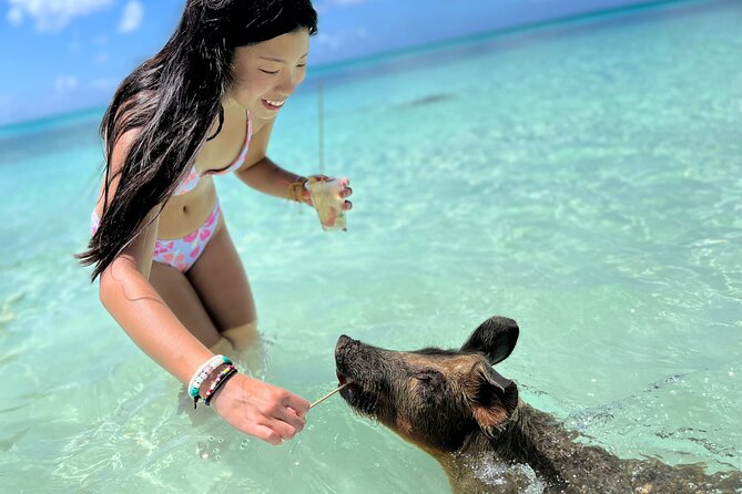 Bahamas Swimming Pigs Experience on Rose Island - Accessibility