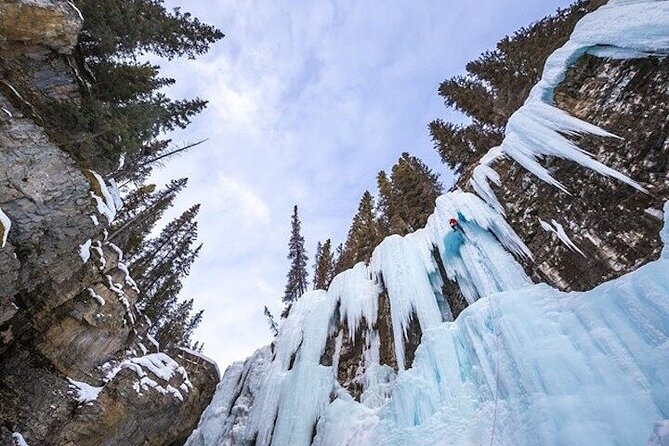 Banff Area & Johnston Canyon 1-Day Tour From Calgary or Banff - Johnston Canyon Walk