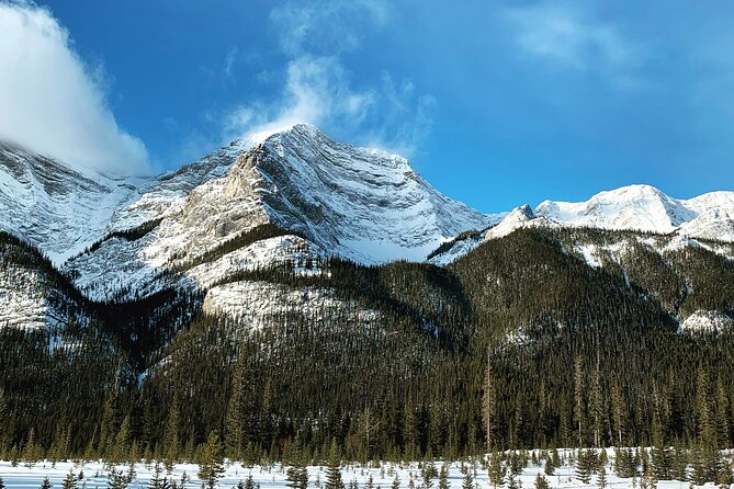 Banff: Banff National Park - Nature Walk 2hrs - Group Size and Personalization