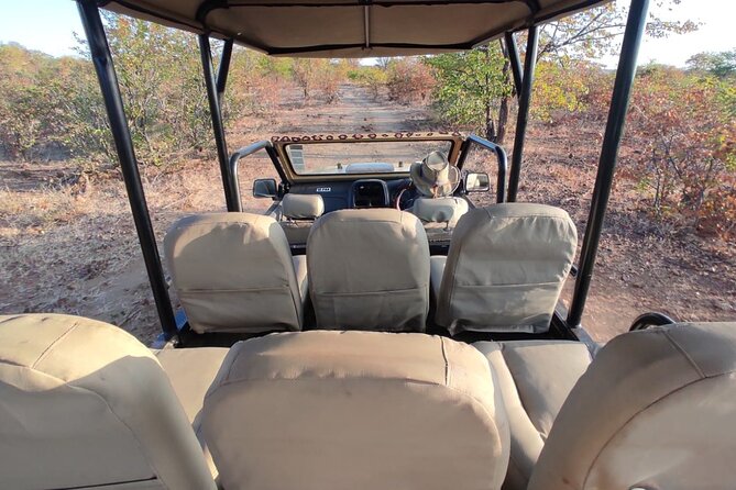 Baobab-Sunrise-Sunset-Vulture-Moonlight Safaris, 4 Options - Confirmation and Accessibility