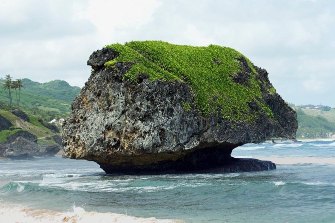 Barbados Island Tour With Lunch and Wildlife Sanctuary - Capacity and Group Size