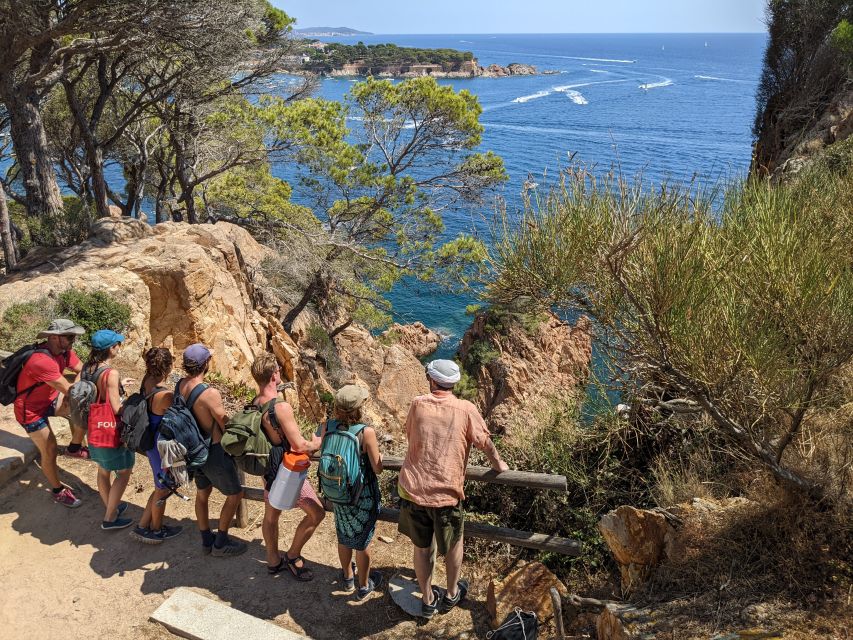 Barcelona: Costa Brava Hike, Snorkel & Cliff Jump With Lunch - Culinary Delights