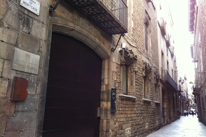 Barcelona Picasso Private Experience With Expert Local Guide - Accessibility and Transportation Details