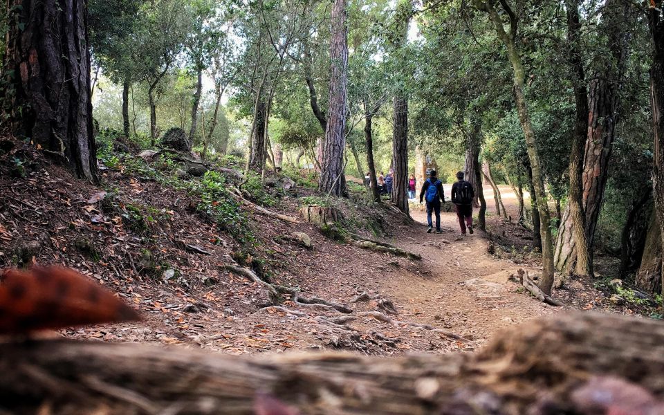 Barcelona Secret Forest: Nature Hike & Best Views - Tour Inclusions and Exclusions