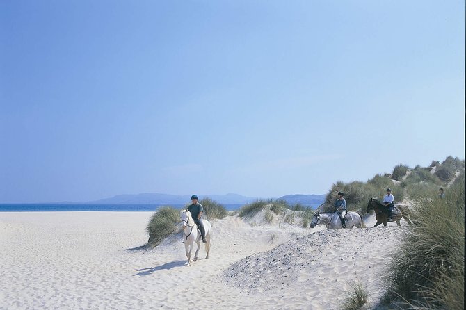 Beach & Countryside Horse Riding Outside Westport. Guided. 1 Hour - Requirements and Restrictions