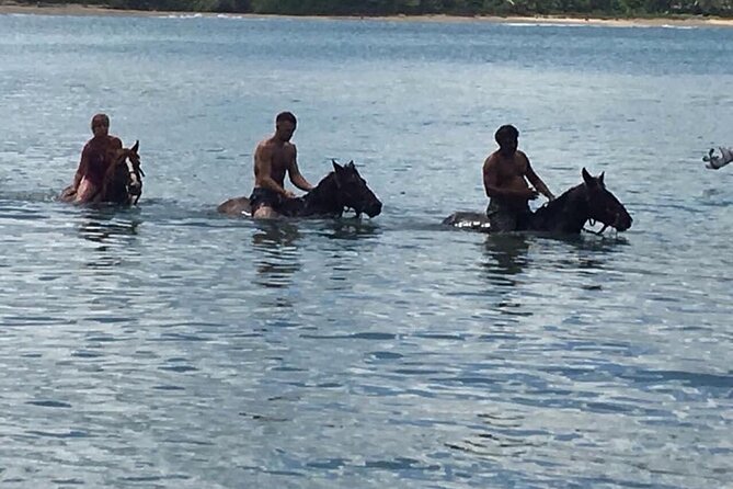 Beach Horse Ride and Countryside Amber Cove & Taino Bay - Meeting and Pickup Information