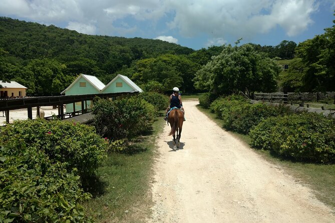 Beach Horseback Riding and River Tubing Family Adventure From Montego Bay - Health and Safety