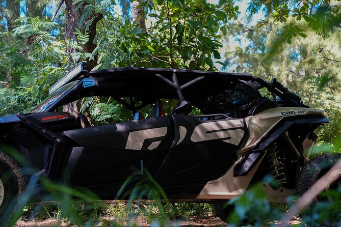 Beach Tour in UTV Can Am in San Juan Puerto Rico - Participant Requirements