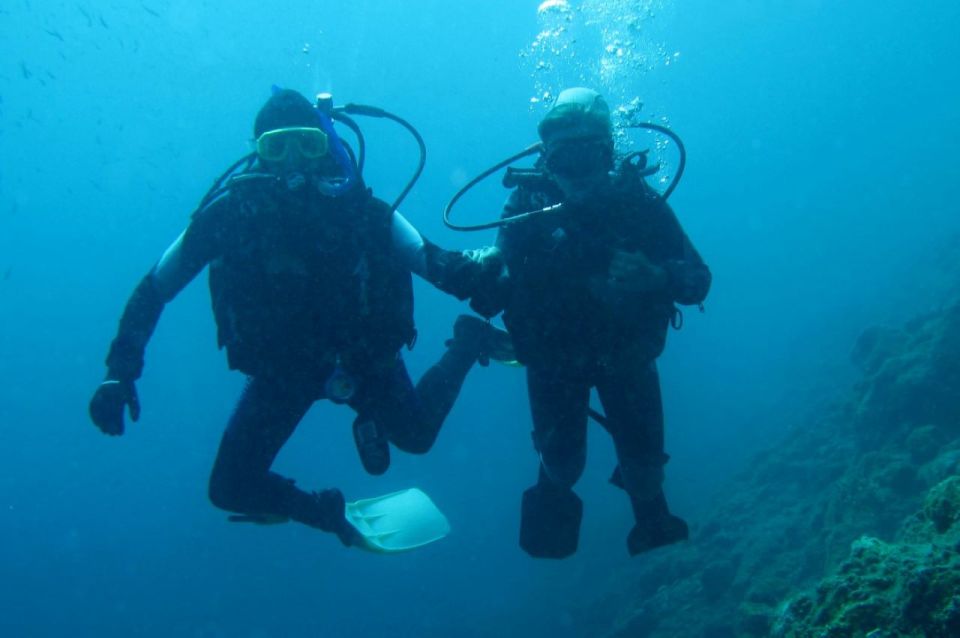 Beli - Open Water Diver 5 Day Diving Course - Instructor Qualifications