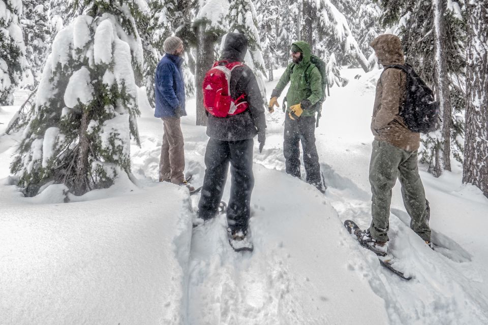 Bend: Half-Day Snowshoe Tour in the Cascade Mountain Range - Guided Tour Experience