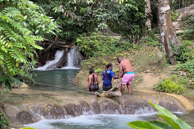 Benta River & Falls Private Tour From Montego Bay/Negril - Reviews