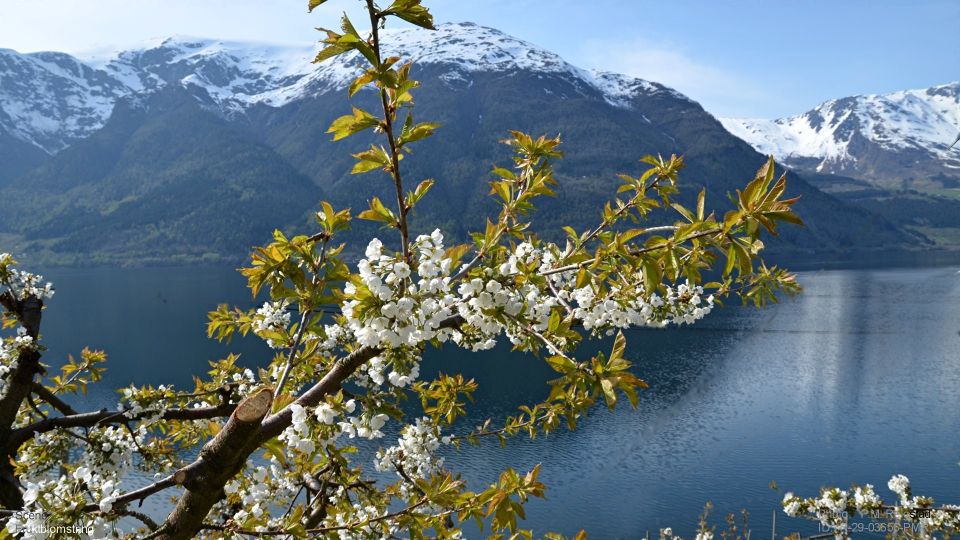 Bergen: Hardangerfjord, Voss Gondola, and 4 Great Waterfalls - Viewpoint at Fossli Hotel