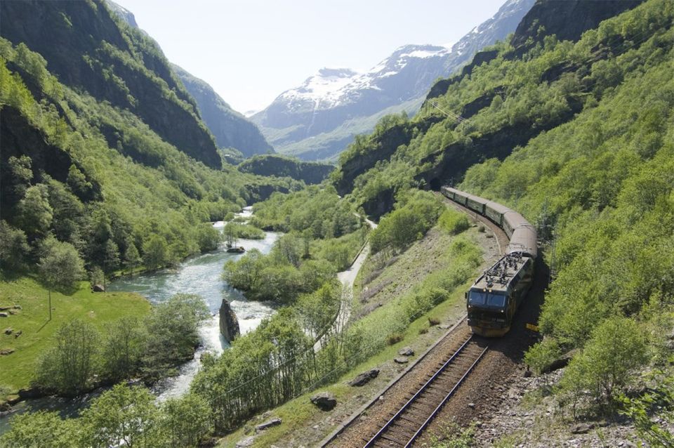 Bergen: Nærøyfjord Cruise and Flåm Railway to Oslo - Cruise on the Nærøyfjord