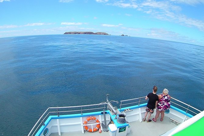 Berlengas Catamaran Tour - Availability