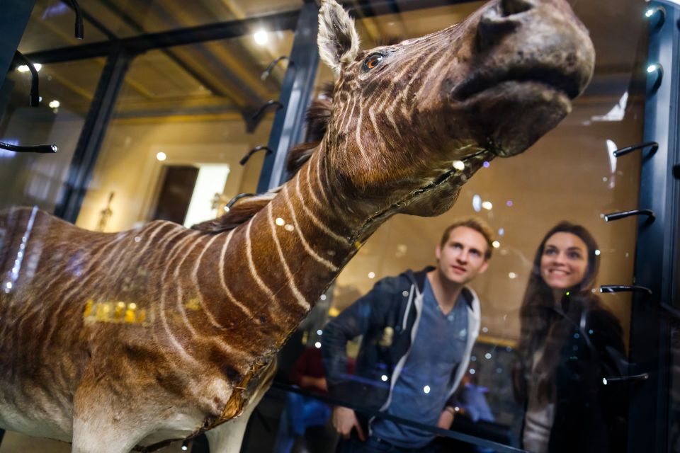 Berlin: Natural History Museum Entrance Ticket - Permanent and Special Exhibitions