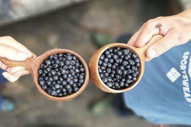 Berry Picking in a National Park - Intimate Group Experience