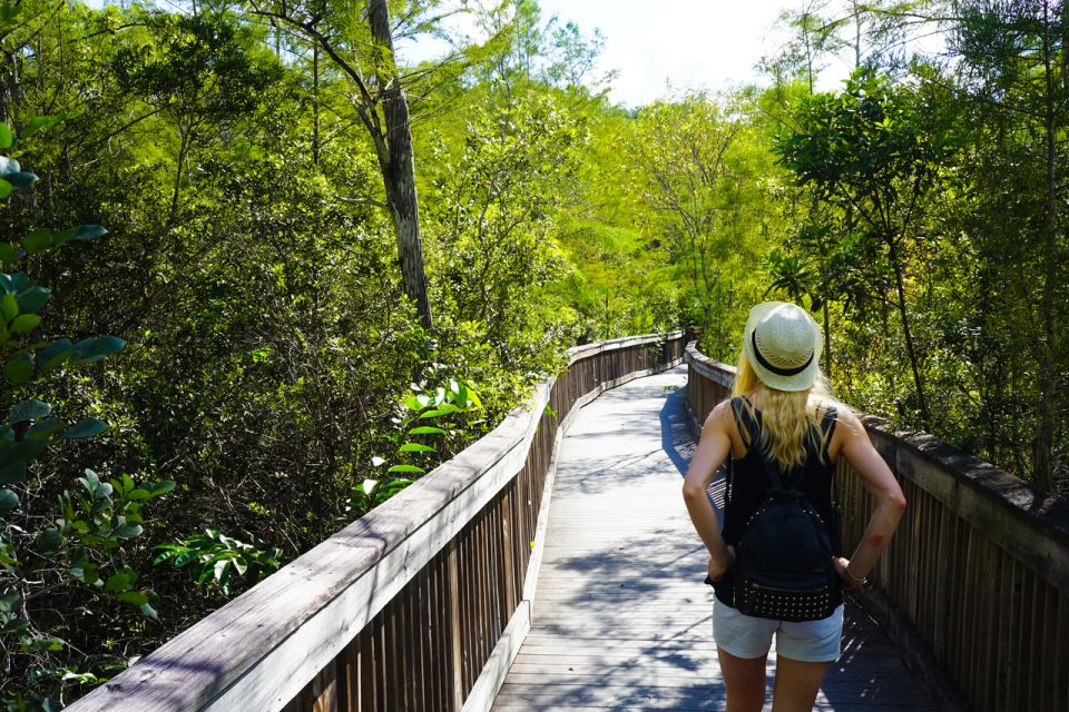 Big Cypress National Preserve: Audio Tour Guide - Important Information