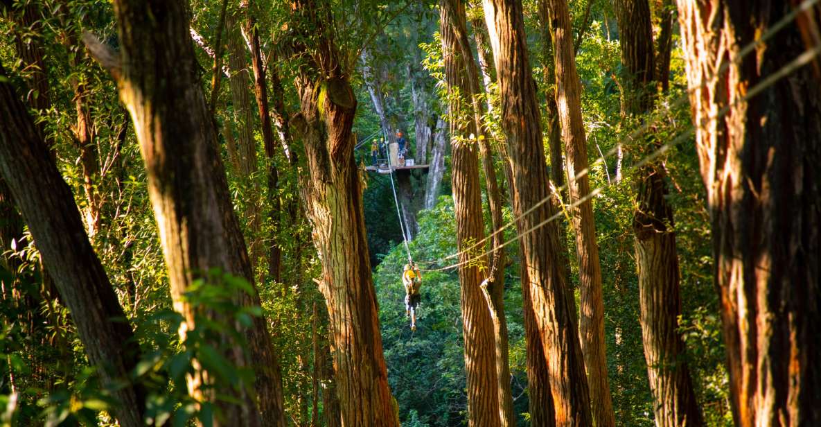 Big Island: 3-Hour Kohala Canopy Zipline Adventure - What to Bring