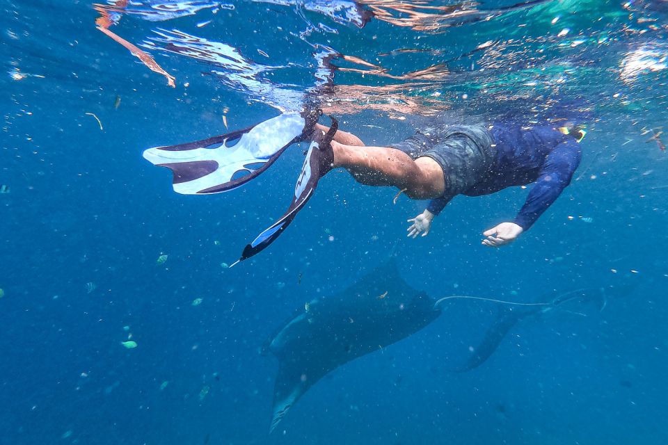 Big Island: Snorkel With Manta Rays - Manta Guarantee - Unique Experience on Big Island