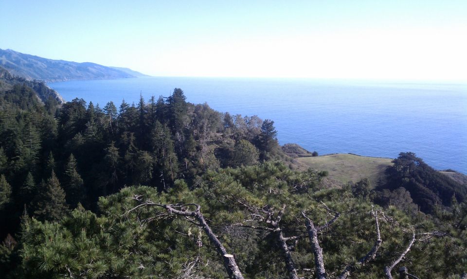 Big Sur: Sightseeing Tour With 4 to 5 Stops - Tour Experience