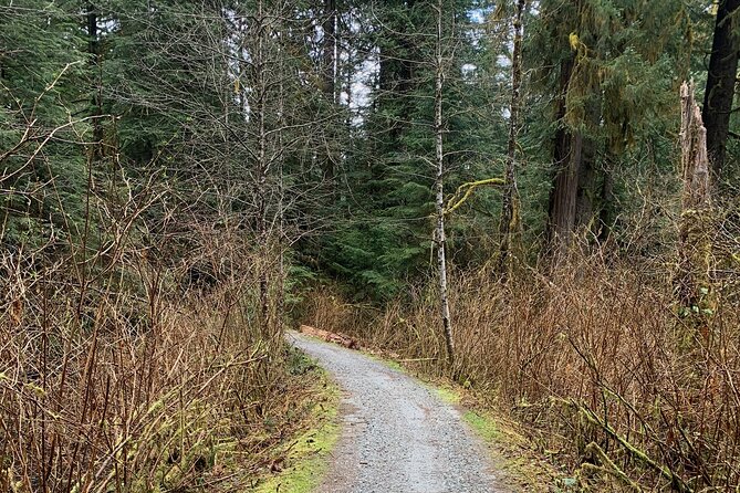 Bike/ E-bike North Vancouvers Seymour Demonstration Forest - Private Transportation and Helmet Provision