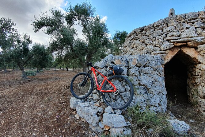 Bike Tour in the Alta Murgia National Park (Pulo of Altamura) - Meeting and End Points