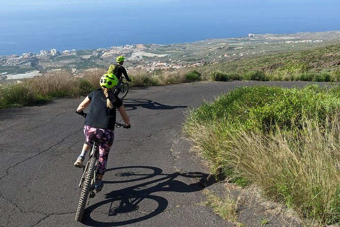 Biking Adventure From Teide to Sea With Wine and Cheese Tasting - Cancellation Policy