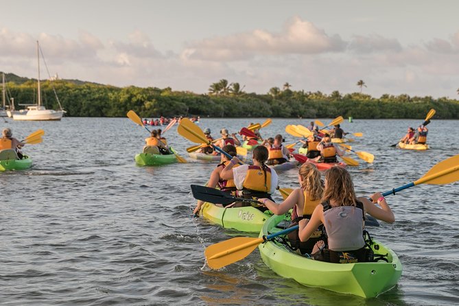 Bio Bay Night Kayaking With Transport From San Juan Area - Itinerary