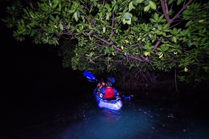 Bioluminescent Bay Kayak Adventure Tour From San Juan - Pickup Time Variations