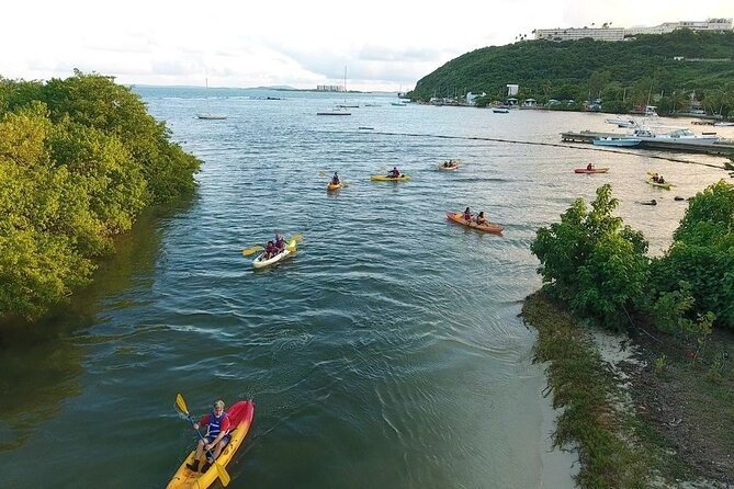 Bioluminescent Bay Night Kayak Experience - Group Size