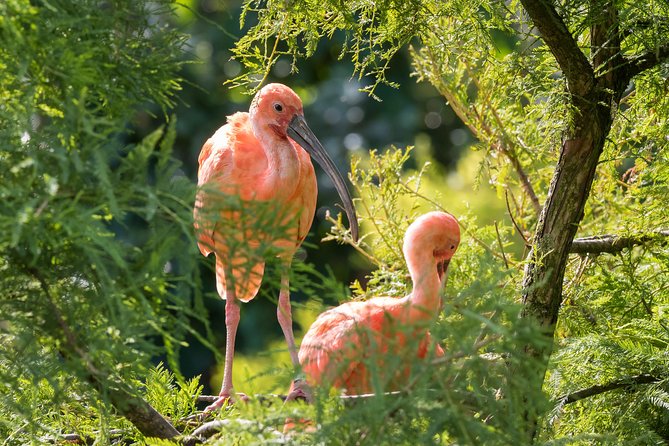 Bird Sanctuaries Tour - Spotting Diverse Bird Species