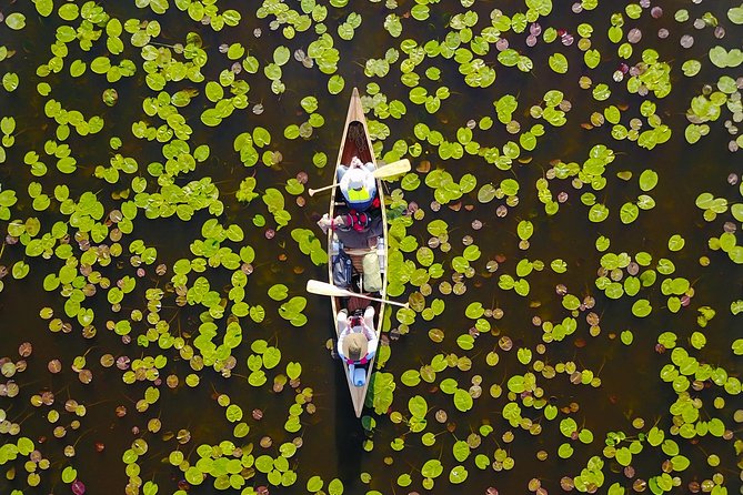 BIRDWATCH - Premium Guided Canoe Tour at Cape Vente, Nemunas Delta Regional Park - Small-Group Experience