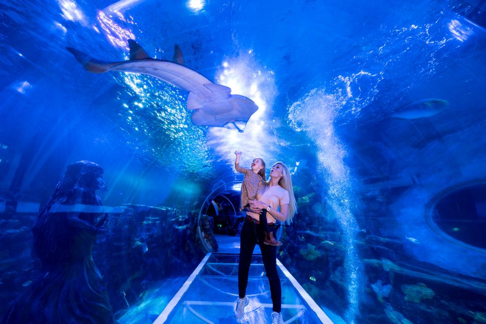 Birmingham: National Sea Life Centre Entrance Ticket - Ocean Tunnel Experience