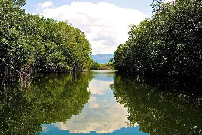 Black River Safari and YS Falls Tour From Negril - Safety and Accessibility