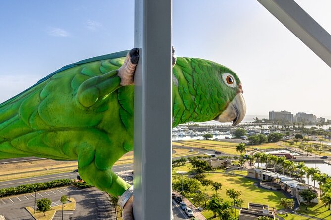 Blazing Bull Zip Line Activity at Toroverde Urban Park San Juan - Safety Precautions