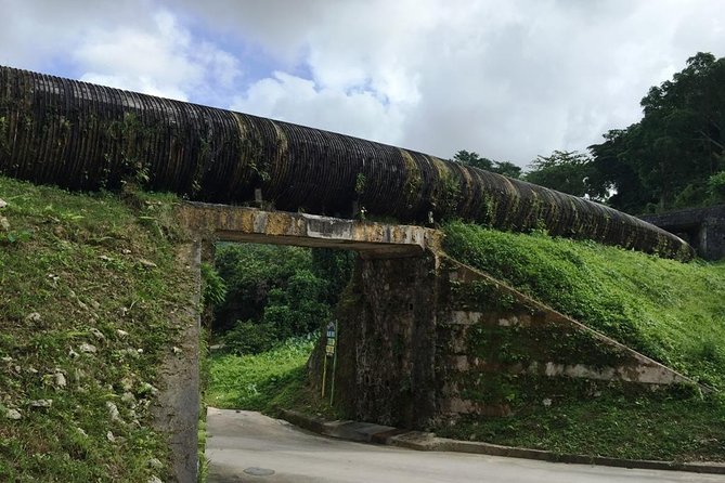 Blue Hole Tour From Ocho Rios - Health and Safety