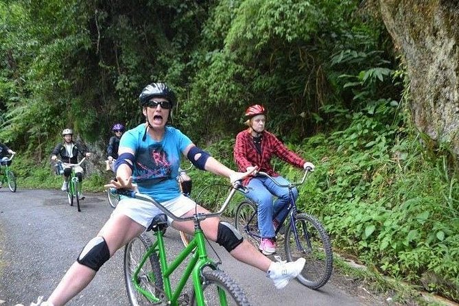 Blue Mountain Bicycle Tour From Runaway Bay - Eco-Adventure Experience