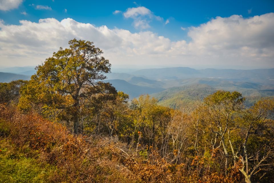 Blue Ridge Parkway – Driving Audio Tour (Roanoke ↔ Afton) - Traversing the Thomas Divide