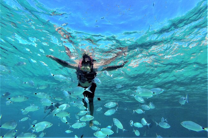 Boat Tour From the Beaches of Ibiza to the Cave of Cala Basa - Boat Trajectory and Timing