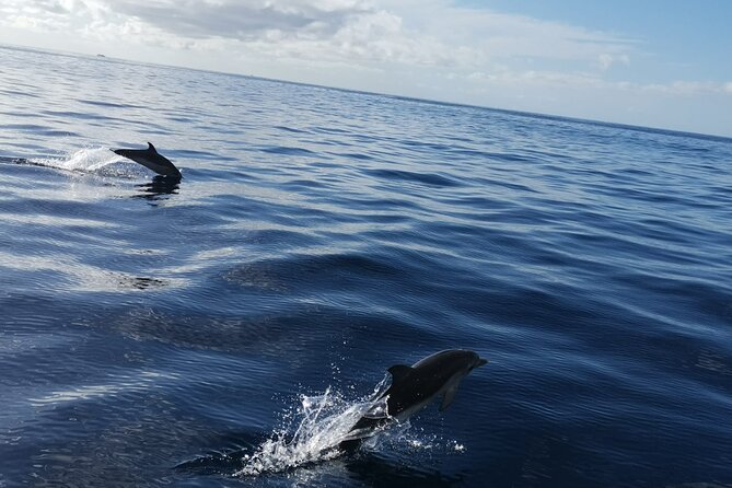 Boat Trip Along the Northwest Coast of La Palma - Transportation and Location