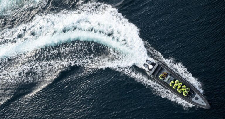 Bodø: Rib To Saltstraumen With A Sea Eagle Safari Overview Of The Tour