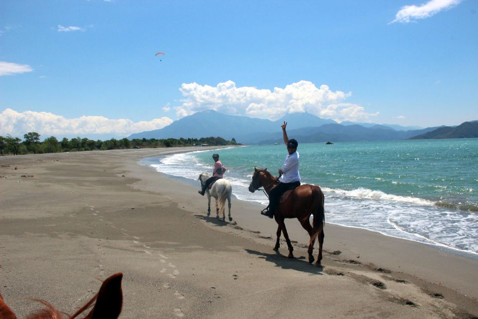 Bodrum: Horseback Riding Experience - Professional Guide and Instruction