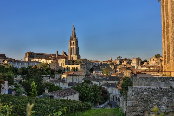 Bordeaux Vineyards Wine Tasting Half-Day Trip - Air-Conditioned Coach Transportation